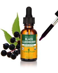 Herb Pharm Certified Organic Black Elderberry Liquid Extract Drops for Immune System Support, Organic Cane Alcohol, 1 Oz
