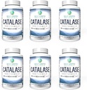 Best Earth Naturals Six Pack of Catalase 10.000 Formula Enzyme Supplement met Saw Palmetto, Biotin, Fo-Ti, PABA - Hair Supplements for Strong Hair - 360 Capsules (180-daagse levering)