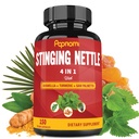 Brandnetelextract Capsules - 4in1 Gecombineerd met Boswellia, Kurkuma & Saw Palmetto - 150 Tellingen gedurende 5 maanden - Ondersteunt Joint, Body Management, Huid, Haar & Immuniteit