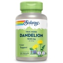 SOLARAY Dandelion Root Supplement - gezonde nier- en leverondersteuning - 1.040 mg per portie - veganistisch, lab geverifieerd, 60 dagen garantie - 90 porties, 180 vegCaps