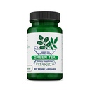 Vitanica Green Tea - 330 mg Groene Thee Polyfenolen - Antioxidant Supplement voor Immune Health Support - Vegan Supplement voor Borstgezondheid - Pro Logo - 60 Vegan Caps