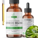 Ginkgo Biloba Extract Liquid 2 Fl Oz, Supplementen voor hersenfunctie en geheugenondersteuning, Alcoholvrij, Veganistisch - 2 Fl Oz