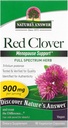 Het antwoord van de natuur Red Clover (Trifolium Pratense) 