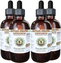 Kaneel Alcoholvrije Liquid Extract, Kaneel (Cinnamomum Verum) Gedroogde Bark Glycerite Hawaii Pharm Natural Herbal Supplement 4x4 oz