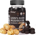 Lions Mane Mushroom Gummies for Nootropic Brain Supplement, Immune Support,Stress Relief Mushroom Supplement Berrry Flavor 60 Count