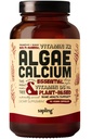 sapling Calcium Supplement - Whole Food with Vitamin K2 & D3, Magnesium, Zinc, Boron, Mineral Complex. Sourced Sustainably from Red Algae. for Bone Strength and Support. Non-GMO & Vegan 90 Capsules.