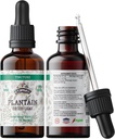 Plantain Tinctuur, Organic Plantain Extract (Plantago Major) Gedroogde Blad Gezondheid Supplement, Niet-GMO in Cold-Pressed Biologische Plantaardige Glycerine 2 oz, 670 mg