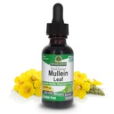 Nature's Answer Mullein Herb - Mullein Leaf Extract for Longs - Alcoholvrij, Niet GGO, Made in USA - Ondersteunt de ademhalingsfunctie en bevordert gezonde longen - Mullein Leaf 1 Ounce Extract