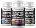 Leeuwen Mane supplement Cognitieve ondersteuning, Immune Health met Turkije staart 20in1 paddo Reishi Cordyceps Chaga met Marshmallow Root -180 Tel.