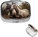 Pill Case pil Box met spiegel kleine pil Organizer 2 Compartiment Twee Horse Travel pilbox voor Purse of Pocket Portable Pill Container Cute Medicine Organizer