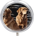 Pill Box 3 Compartiment ronde pil Organisator Dagelijkse kleine pil geval voor reizen Golden Retrievers metalen pil Container draagbare geneeskunde Organisator voor pil vitamines visolie supplement