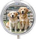 Ronde pil geval 3 Compartiment Golden Retriever Honden Puppies Huisdieren pil Box Mini Geneeskunde pil Organizer Portable Travel Pillbox voor Pocket Purse metalen pil Container voor vitamines Visolie supplementen
