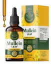 HERBAMAMA Mullein Drops for Longs - Vegan Lung Cleanse with Mullein Leaf Extract, Echinacea Tinctuur & Licorice - Non-GMO, Alcohol & Sugar-Free Respiratory Support Supplement - 56-Day Supply