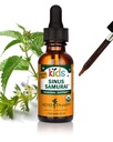Herb Pharm Kids gecertificeerd- Alcoholvrije Sinus Samurai Liquid Herbal Formula, Biologische, 1 Fl Oz