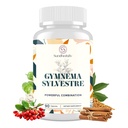 16 in 1 Blxxd Sugr Effectief Gymnema Sylvestre Supplement 2100MG met Berberine, Kaneel, Bittermeloen, Vitaminen, Magnesium & › 90 Vegan Capsules Capsules