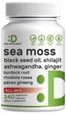 DEAL APPARAAT Irish Sea Moss 7000mg Per Serving, 240 Veggie Capsules 