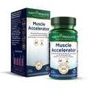 Zuiverheid Producten Muscle Accelerator 650 mg Gepatenteerde en klinisch geteste spierversneller Menging van ayurvedische kruidenextracten bevordert sterkte, endurance + spiergroei - 60 Veg Caps