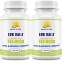 Our Daily Vites Sea Moss Capsules 1500mg (2 Pack) - Wildcrafted Irish Sea Moss Bladderwrack and Burdock Root Superfood Blend - Immune System, Gut Health & Thyroid Support - 240 Vegetarische Capsules
