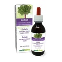 Naturalma Rabarber (Rheum palmatum of Rheume officinale) Wortel en Rhizome Alcoholvrije Tinctuur - 4 fl oz Liquid Extract in druppels - Kruidensupplement - Veganistisch