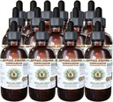 Kaneel Alcoholvrije Liquid Extract, Kaneel (Cinnamomum Verum) Gedroogde Bark Glycerite Hawaii Pharm Natural Herbal Supplement 15x4 oz