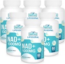 Liposomale NAD+ Supplement 1000 mg 