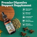 Rejuvica Health DigestaPro - Advanced Digestive Bitters Supplement - Liquid Delivery for Better Absorptie - Gentian, Artichoke, Burdock, Chanca Piedra, Ginger & More!
