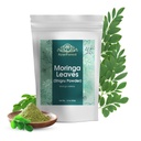 Moringa Bladeren Poeder Oleifera Blad Shigru Geweldig in drankjes en smoothies 16 Ounce