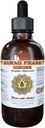 Hawaii Pharm Gember Liquid Extract, Biologische Gember (Zingiber officinale) Tinctuur Supplement 2 oz