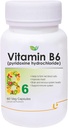 Nutranix BHM Vitamine B6 (Pyridoxinehydrochloride) Supplement 60 Veg Capsules