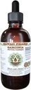 Pure Garcinia Alcoholvrije Liquid Extract, Biologische Garcinia (Garcinia cambogia) Gedroogde Fruit Glycerite Hawaii Pharm Natural Kruidensupplement 2 fl.oz