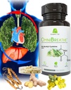 OMNIBREATHE - Snelle verbetering van de ademhalingsproblemen door NAC 600MG Wetenschappelijk samengesteld w. quercetin/Mullein/Coq 10/Ginger/Stinging Nettle/Bromelain,3 Times w. Maaltijd (10-daagse levering aan Boost)
