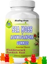 Sea Moss Gummies Ashwagandha met Bladderwrack Burdock Root, Alkaline Keto Vegan Non-GMO Diet, Dairy en Gluten Gratis door Healing Drops