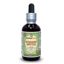 Kruiden Terra LLC Stinkende brandnetel (Urtica Dioica) Glyceriet, biologisch gedroogde bladeren Alcoholvrije vloeistof Extract 2 oz