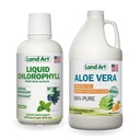 Land Art Aloë Vera Drinkbare Gel - Oranje Tangerine Gearomatiseerd - Cold-Processed - Biologische verse bladeren - 64floz + Liquid Chlorofyl Mint Flavored - Cold Extracted from Wild Non-GMO Alfalfa - 16floz