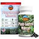 Plant-gedronken mineralen, 60 capsules, Organische Natuurlijke Trace Mineralen en Antioxidanten die de Immuun en Digestieve Systemen ondersteunen, bevorderen Optimale Gezondheid. Gesourced en Made in USA