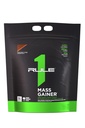 Regel 1 Proteïne Mass Gainer - High-Calorie Weight Gain Formula with 1.220+ Calories, 250g+ Complex Carb Blend, 40g All-Whey Protein Per Serving (16 Servings, Chocolate Fudge)