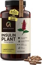 Premium kwaliteit Costus Igneus (Insulin Plant) Capsules - Gemakkelijk te slikken 120 Veggie Capsules (1 maand levering) - Made in The USA - Inclusief Complete Health Support Program