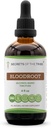 Secrets of the Tribe Bloodroot Alcohol Tincture Extract, Responsibly farmed Bloodroot (Sanguinaria Canadensis) Dried Root Tincture Supplement (4 fl oz)