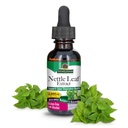 Antwoord Nettle Leaf with Organic Low Alcohol 1 Fluid Ounce 