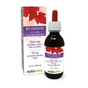 Naturalma Red Grapevine (Vitis vinifera) Blad Alcoholvrije Tinctuur - 4 fl oz Liquid Extract in druppels - Kruidensupplement - Veganistisch