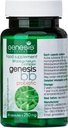 Genesis LABORATORIES Probiotic Supplement with Bifidobacterium spp. 250 mg 30 Capsules Immune Support Gut Health Probiotics for Digestive Health Anti Bloating for Men and Women Gut Restore Probiotic