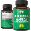 Peak Performance Mitochondria Maximizer with CoQ10 and Active PQQ. Best Mitochondrial Support Supplement with MCT Oil. Natural Cellular Generator for Clean, Energy Support. 60 Vegetarian Capsules