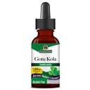 Het antwoord van de natuur Gotu Kola Herb Alcoholvrij, 1-Fluid Ounce 