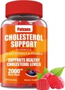 1 Pack Cholesterol Support Gummies, bevattende 2000MG van Plant Sterols & Sterols, Cholesterol Complex Gummies, Ondersteuning Gezonde Cholesterol Niveaus, Energie Ondersteuning, Gemengde Berry smaak, 60 Telt