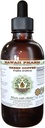 Green Coffee Alcoholvrije Liquid Extract, Green Coffee (Coffea Arabica) Gedroogde Bean Glycerite Hawaii Pharm Natural Kruidensupplement 4 oz