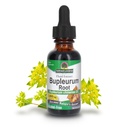 Natuur Antwoord Bupleurum Root Bupleurum Chinense - Natuurlijke kruidensupplement - Gluten Alcoholvrij - Ideaal voor lever Immuniteit algehele gezondheid Welzijn - 1000mg (1 FL Oz)