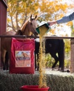 Glow 40 lb, Aids in Weight Gain for Horses and Improves Coat and Condition, High in Omega-3’s