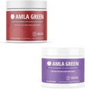Amla Powder & Green Tea Superfood Supplement, Antioxidant Support, Gemaakt met Hibiscus (90 porties) & Vlierbessen (30 porties), Biologisch, Veganistisch