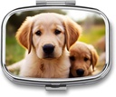 Pill Box 2 Compartiment Vierkante pil Organisator Dagelijks Kleine pil geval voor Travel leuke Golden Retriever Puppy Metal Pill Container Portable Medicine Organisator voor pil Vitaminen Visolie supplement