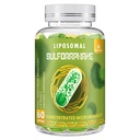 800 MG Liposomal Sulforaphane, krachtige dubbele levering voor maximale absorptie & potentie, volledig spectrum Broccoli Extract, antioxidant & leversupplement, 60 Softgels